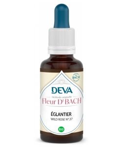 Églantier (Wild Rose - N°37)